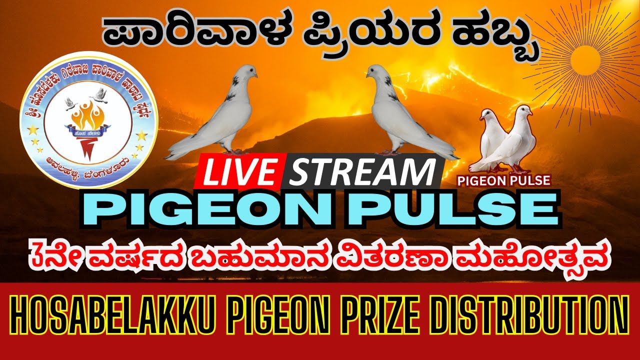 ಹೊಸ ಬೆಳಕು LIVE ONLY ON PIGEON PULSE | Hosabelakku Pigeon Flying Competition – 3rd Year Prize Distrib