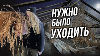 НАДО БЫЛО УХОДИТЬ ПОКА СВЕТЛО | Одна в заброшенном лагере