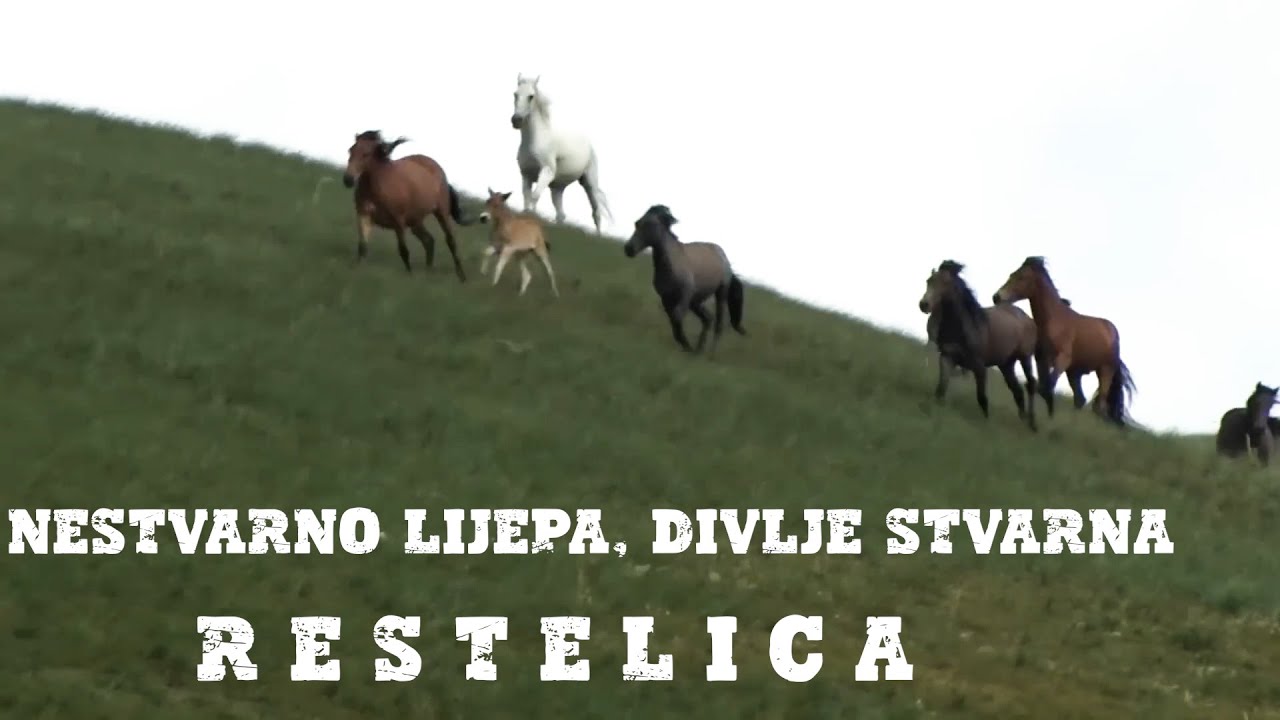 Nestvarno lijepa, divlje stvarna — Restelica.