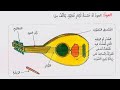 الالات الموسيقية الشرقية الصف السادس اللغة العربية مع حل التمارين التابعة لها عه ره بى پولا شه شى 