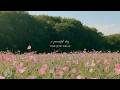 a peaceful day ☘️🐈🌻 a playlist for a quiet morning 🌿 (spring version)