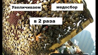 Увеличение медосбора технологическим методом