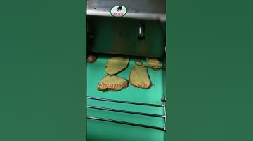 Multifunctional Green Onion Vegetable Chopper Cutting Machine Potato Fruit Vegetable Cutter