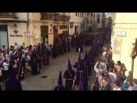 Cofradía de la Santa Vera Cruz, Disciplina y Penitencia
