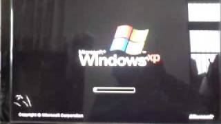 MOV00231.MP4