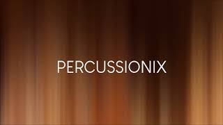 Baptiste Duboz - Percussionix