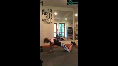 Technique Video   Modified Front Plank Rotation