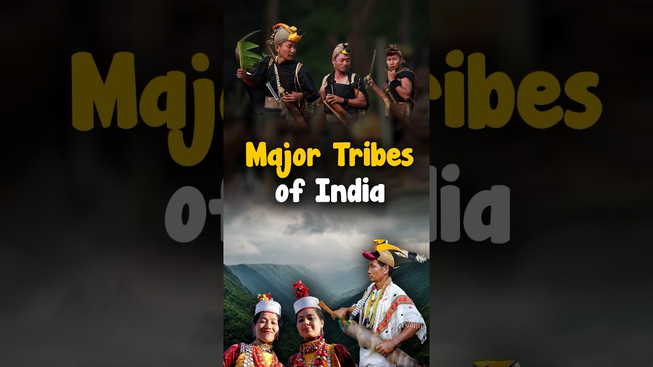 Major Tribes of India | Tribes in India #gk #tribes #parchamclasses
