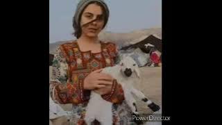 Chone Washen Mausam a Biya Berawan | Viral Beautiful Balochi Song