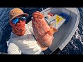 3-HOT HOT FISHING//Live coral trout fishing the GBR
