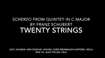 Twenty Strings - Scherzo from Quintet in C Major, Franz Schubert
