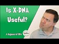 Is X-DNA helpful in genetic genealogy? - A Segment of DNA