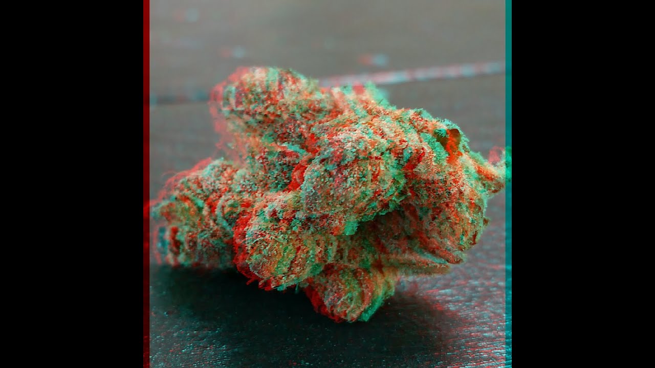 CHEMO's Secret Enchanted Garden