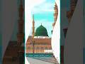 Ruh E Washam #naatstatus #ytshorts #shortsviral #shortsfeed #islamicvideo