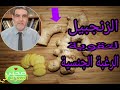 الزنجبيل وتقوية الرغبة الجنسية اسمع الحقيقة التي يجهلها الكثيرون نصائح الدكتور محمد الفائد 