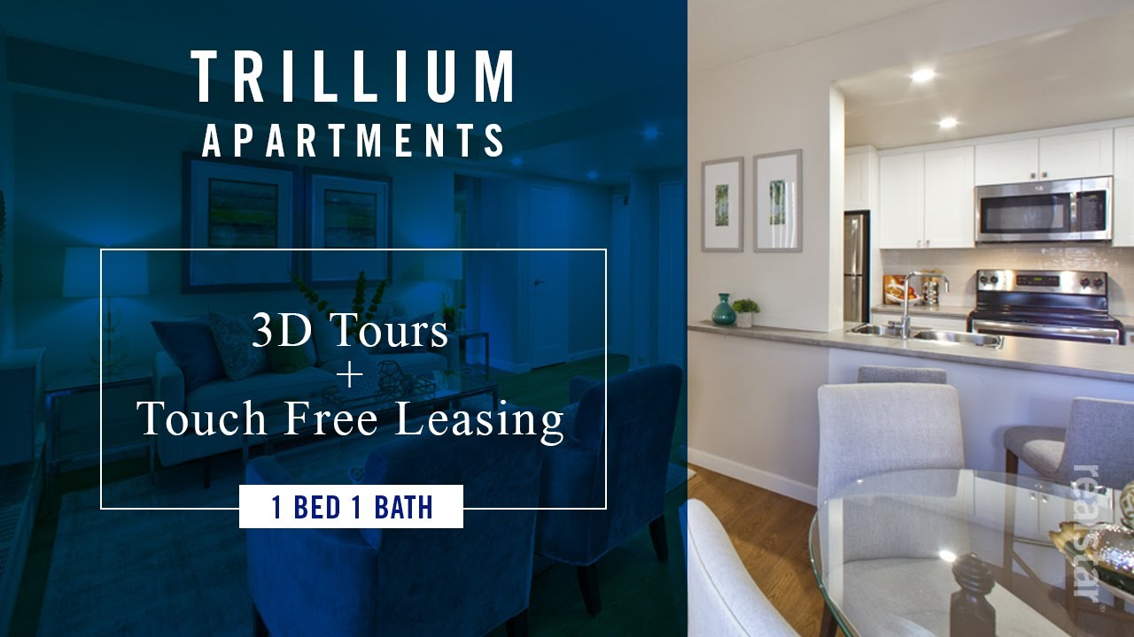 Trillium Apartments Cobourg Apartment 3D Tour 1b1b YouTube