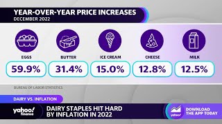 Farmers Are Price Takers, Not Price Setters Amid Dairy Industry Inflation Tillamook Ceo