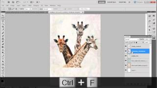 How to Design a Save the Wildlife Poster screenshot 1