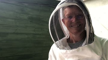 Is the queen laying in her Layens Hive?