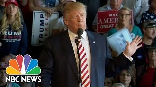Donald Trump Vows Push For Congressional Term Limits If Elected | NBC News