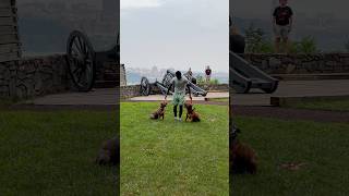 Brooklynn Tank With Some Obedient Bbk Work