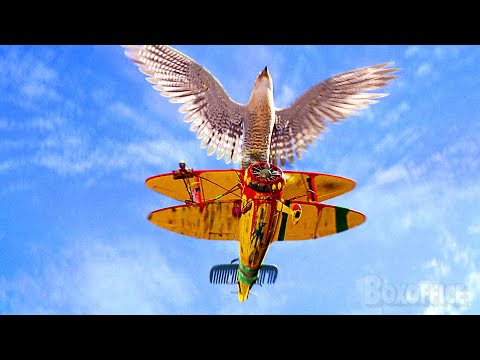 Le faucon contre le petit avion | Stuart Little 2 | Extrait VF
