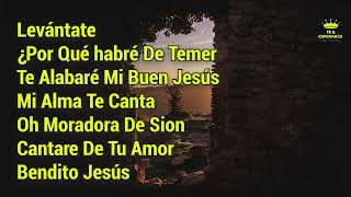 Mix De Alabanzas de Adoración 🕊️ 🙌 Música Cristiana - Himnos de Alabaza y Adoración 🕊️ 🙌 