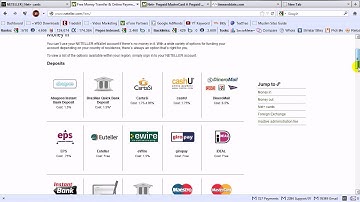 Obtain a PrePaid MasterCard Neteller Services Fees For the Debit MasterCard