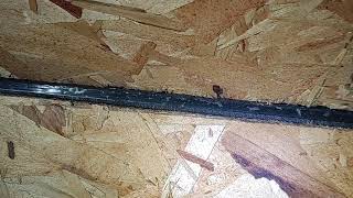 Roofing gone wrong - Ridge vent