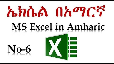 6  Microsoft Excel for Beginners - Basic Tutorial in Amharic Conditional formatting Styles Ethio LiQ