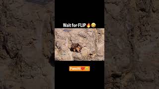 #abandonedmonkeylife #monkey #pu#babymonkey #panchi #punchkun #punchthemonkey #punchmonkey