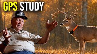 Biologist Explains How Mature Bucks ACTUALLY Avoid Human Pressure