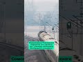 Поезда из Польши в Гродно могут вернуть — есть нюанс / Новости сегодня Беларусь