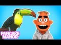 WHAT IS A BIRD? (Song for Kids ♫)