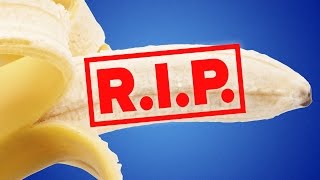 Are Bananas Going Extinct?