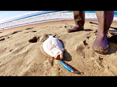 We caught 7 Surf Halibut with the Lucky Craft Flash Minnow! [SoCal Surf  Fishing] 