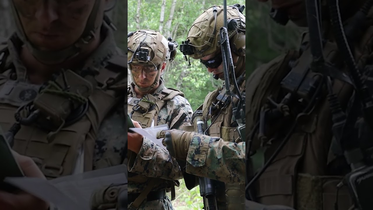 Bn. 1/8: Atlantic Alliance 25 