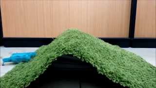Charlie the Cricket 3D Printed Hexapod Robot from Technion