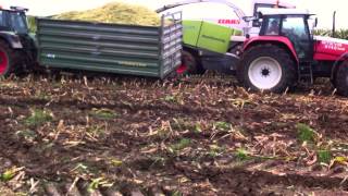 Maissilieren 2014 - Fendt 412 steckt fest - Steyr 9145 hilft aus!