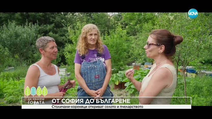 Да хванеш гората (06.07.2025)
