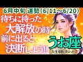 【♓魚座さん💖6月中旬運勢】〈暗闇からの大解放✨不安や迷いを断ち切って、願いが叶うと信じて進もう✨貴方の魅力はどんどん華開いていきます🌸〉 人生幸転タロットリーディング 占い うお座 太陽星座・月星座