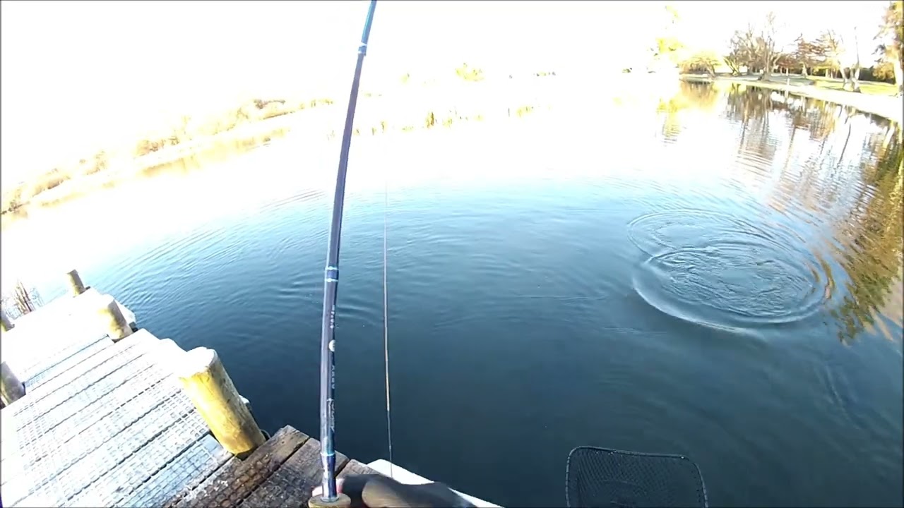 NEW ZEALAND TROUT FISHING LONG DROP 6
