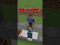【最凶】バレない&防げない「究極の地雷」【マイクラ】