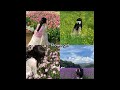 Which Girl You Are рџ Song Aestheic Viralmusic Fypг г љviral Which Girl You Are рџ Song Aestheic Viralmusic Fypг г љviral