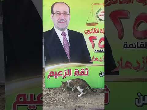 الزعيم المالكي الانتخابات العراق