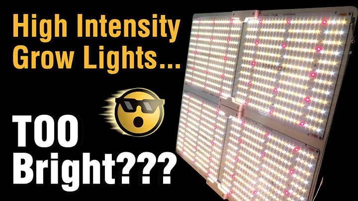 Super Bright LED Grow Lights Replace High Watt HPS -Best Value: Spider Farmer Dimmable SF4000 Review