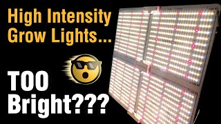 Super Bright LED Grow Lights Replace High Watt HPS Best Value: Spider Farmer Dimmable SF4000 Review
