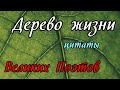 Дерево жизни - цитаты великих поэтов