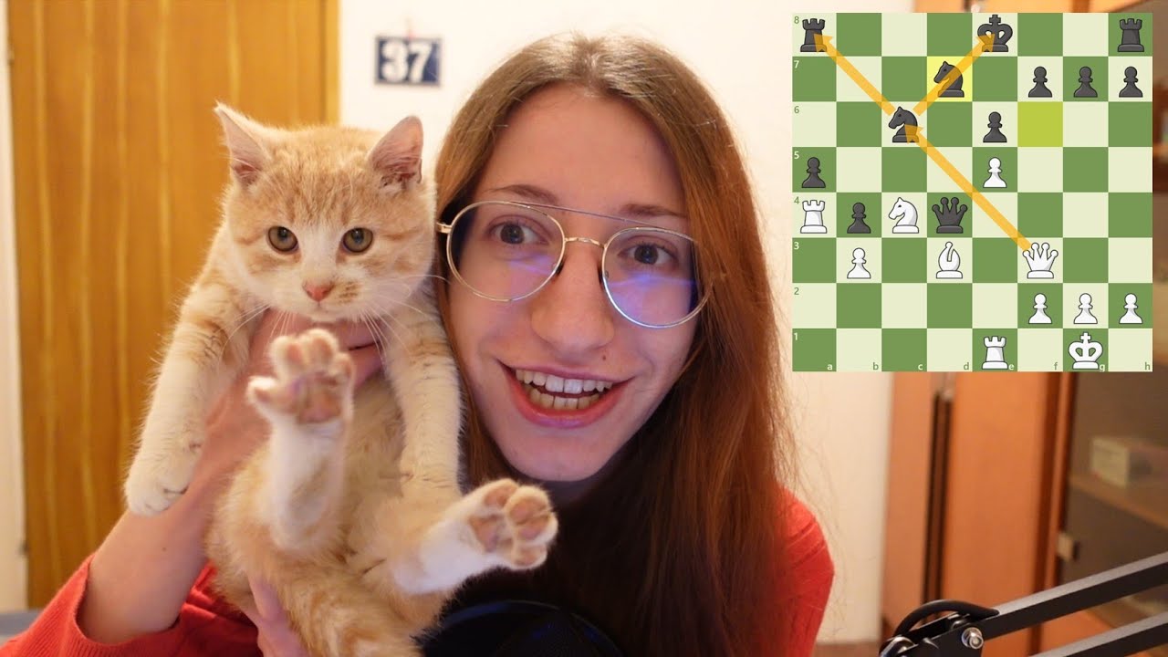 Chess with my Cat