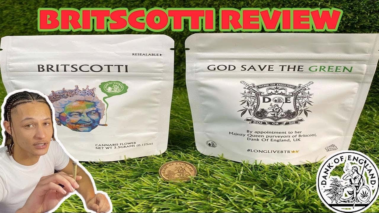 BRITSCOTTI REVIEW | DOE GANG |SPACEBOYZ